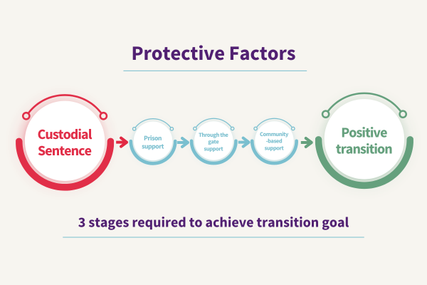 Foundation Infographics
